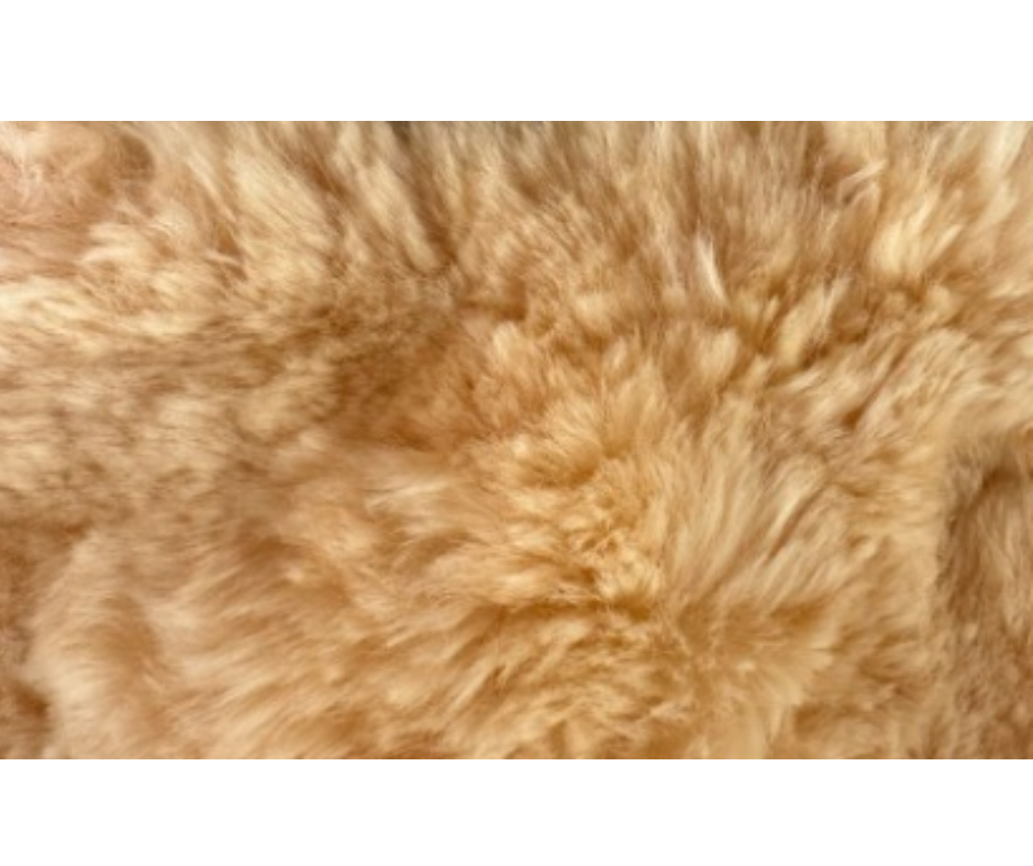 Pure Wool Car Wash Mit